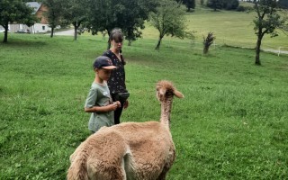 Ein Mensch und ein Kind stehen auf einer grünen Wiese neben einem Llama. Im Hintergrund sind Bäume und ein Gebäude zu sehen.