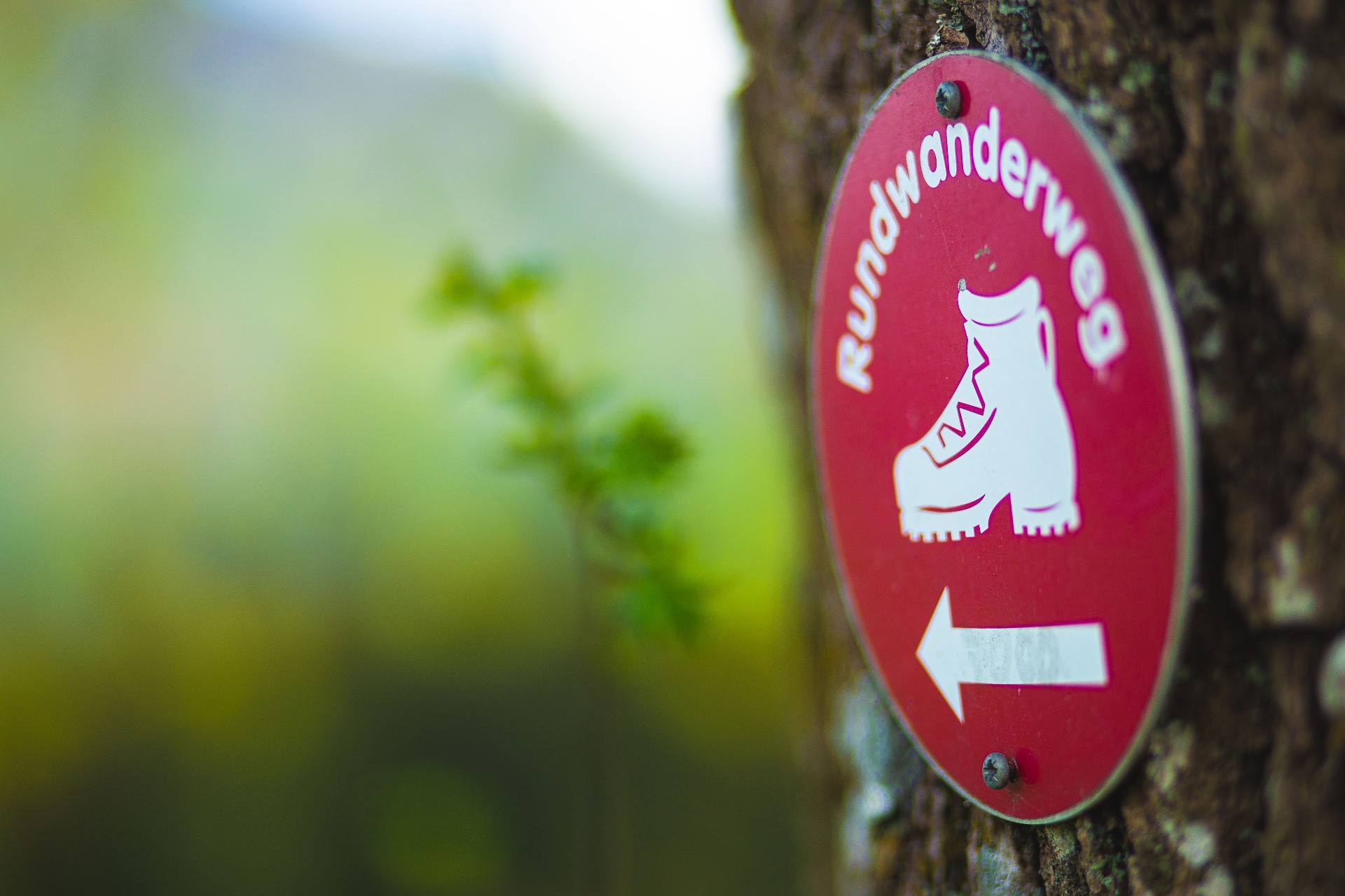 Rundwanderweg_Ybbsitz.jpg