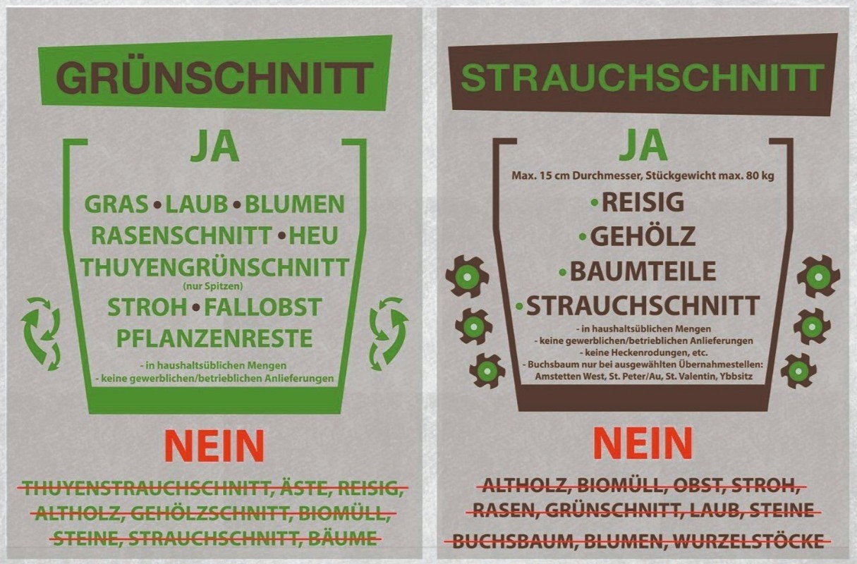 Waldlandschaft mit Bäumen, Büschen und Gras. Baumstümpfe, Eichen, Stiele, Blätter, Bäume, Rasen.