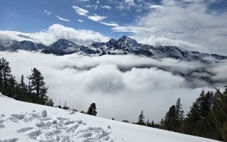 Schneebedeckte Berge im Nebel, bewölkter Himmel, verschneiter Hang mit vereinzelten Nadelbäumen.