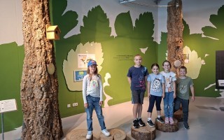 Kinderferienprogramm ÖVP_Welios Wels_2025-07-09 (1).jpg
