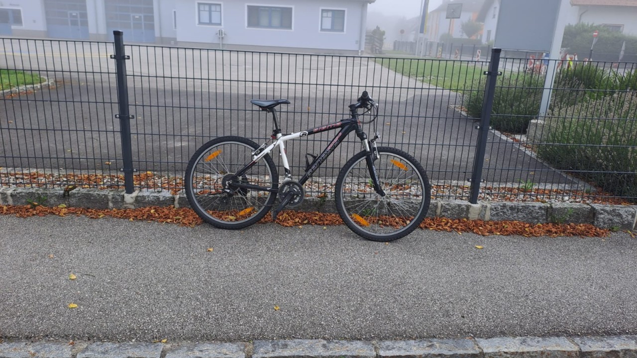 Fahrradfund 19.07.2025_2.jpeg