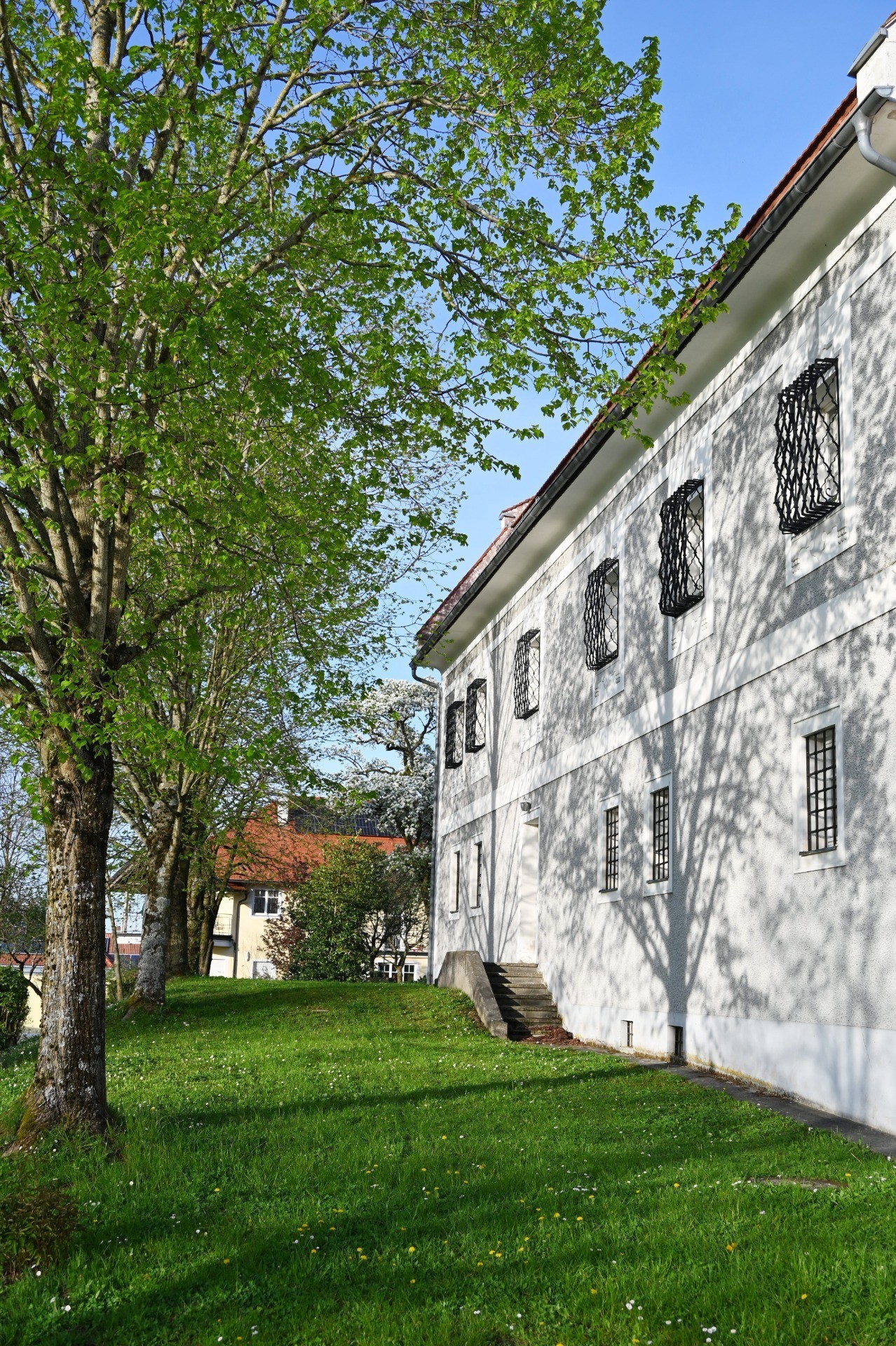 Frühling2024-30.JPG