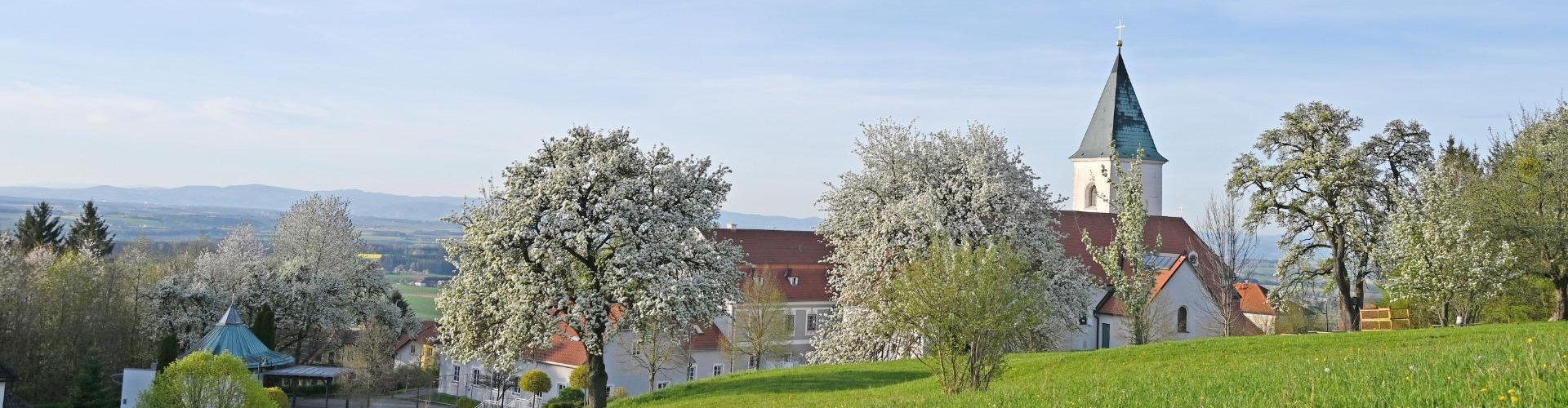 Behamberg02Header.jpg