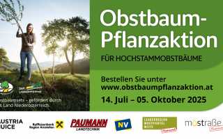Facebook-Event-Titelbild Pflanzaktion 2025 1920x1080px - Mostviertel Mitte.png