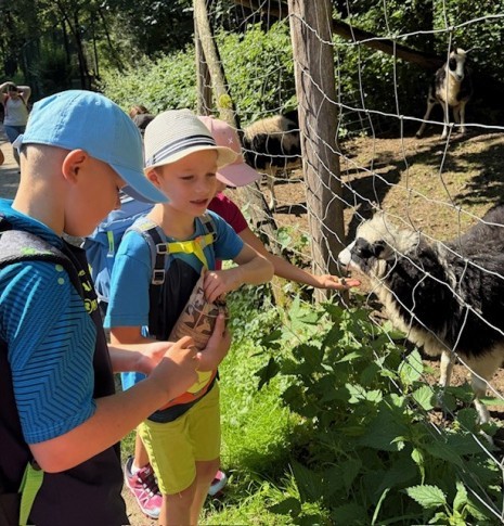 Tierpark5.jpg