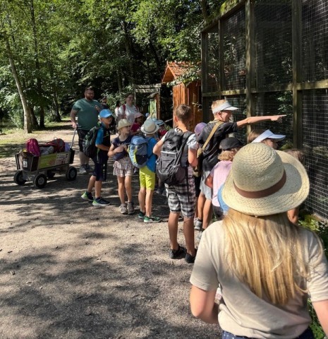 Tierpark3.jpg
