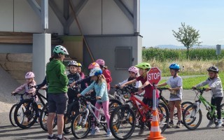 Kinder lernen Fahrradfahren, stehen in einer Reihe auf einem Feldweg mit einer roten Stop-Schild.