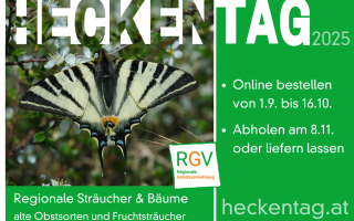 Inserat_Heckentag_NOE+_98x65_2025.png