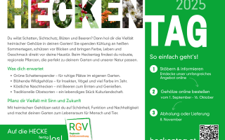 Inserat_Heckentag_NOE+_A5-quer_2025.png