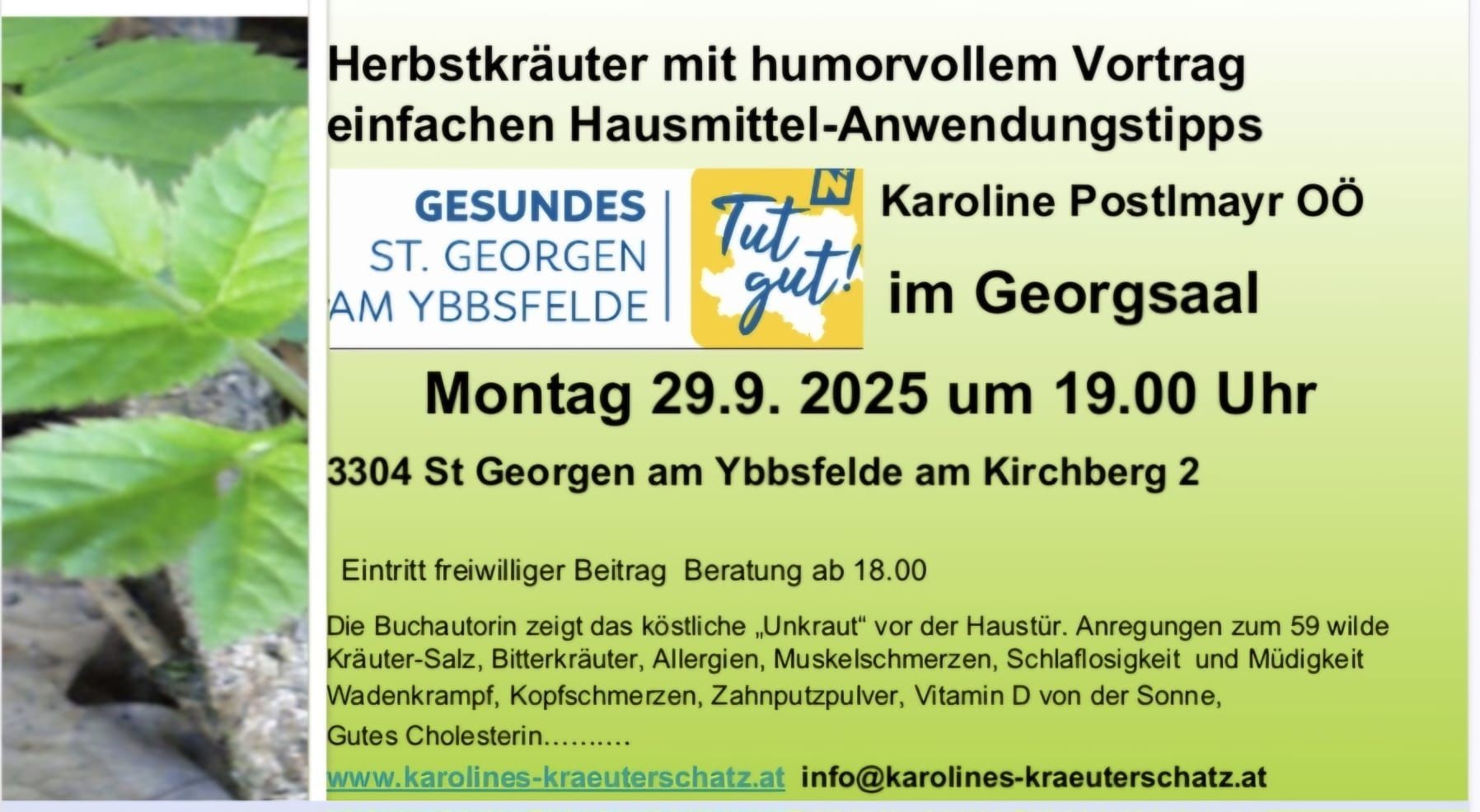 Herbstkräuter_Vortrag.jpg