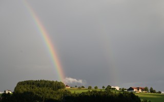 DSC_1684.JPG