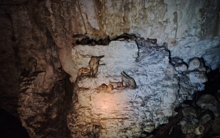 Innerhalb einer dunklen Höhle mit Gesteinsformationen und einem kleinen Lichtschein.