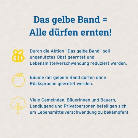 Gelbes Band 2.jpg