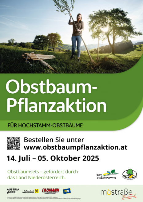 Obstbaum Pflanzaktion 2025 - Moststraße.png