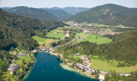 Immobilien