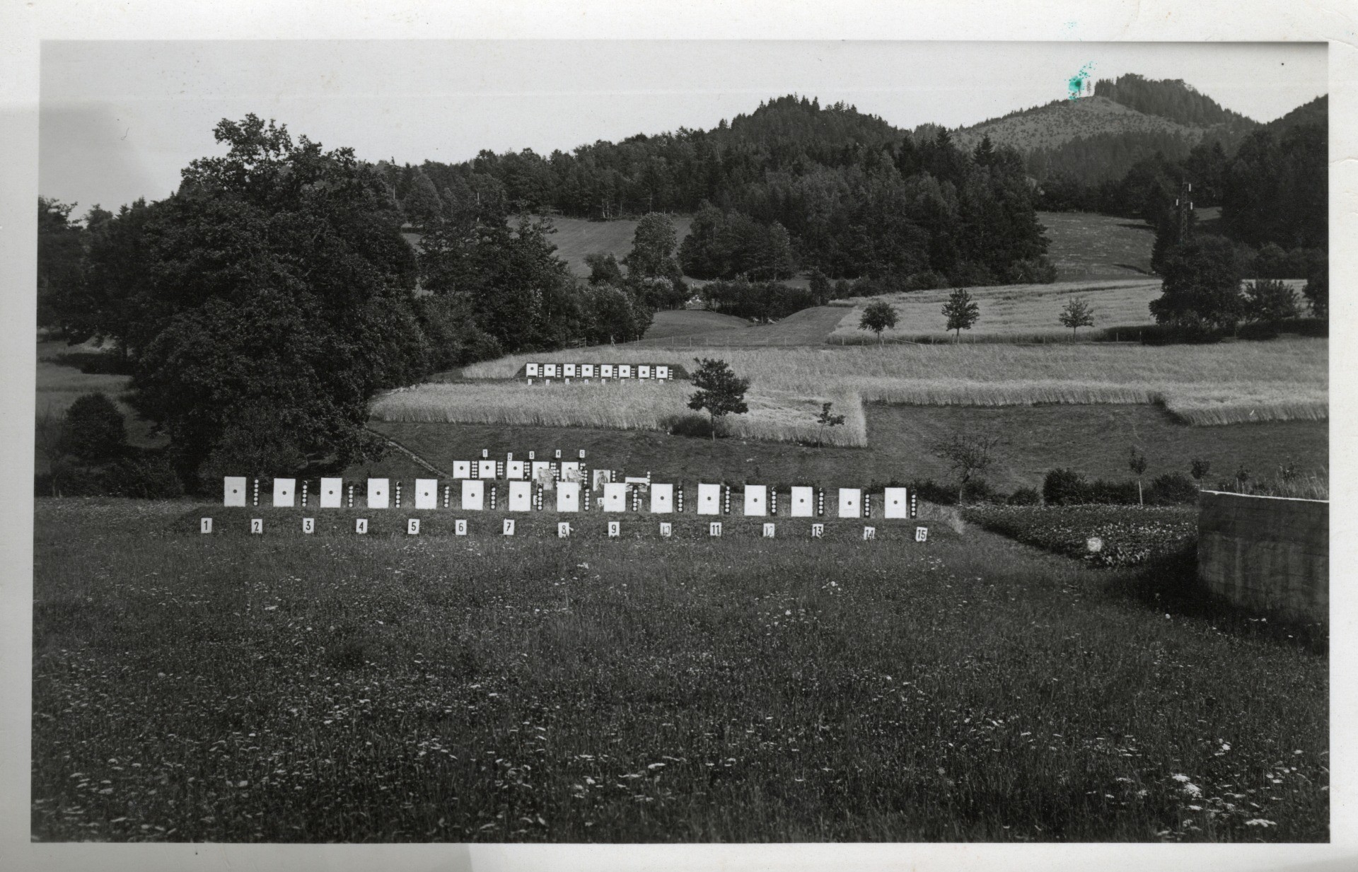 Kinderdorf FT 206.jpg