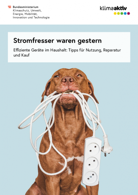 Stromfresser_effiziente_Geraete_Haushalt.pdf