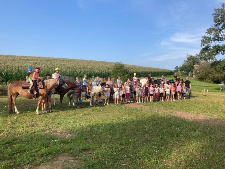 Das Leben ist ein Ponyhof.jpg