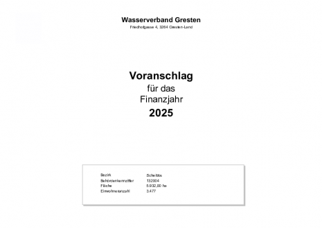 Voranschlag 2025 - 11.12.2024.pdf