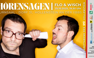 floh & wisch (1920 x 1080 px).png
