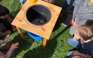 IMG_6609.jpeg