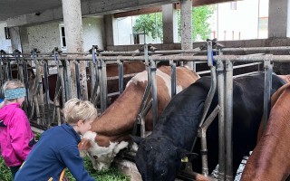 IMG_6569.jpeg