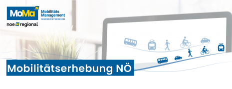 Mobilitätserhebung.png