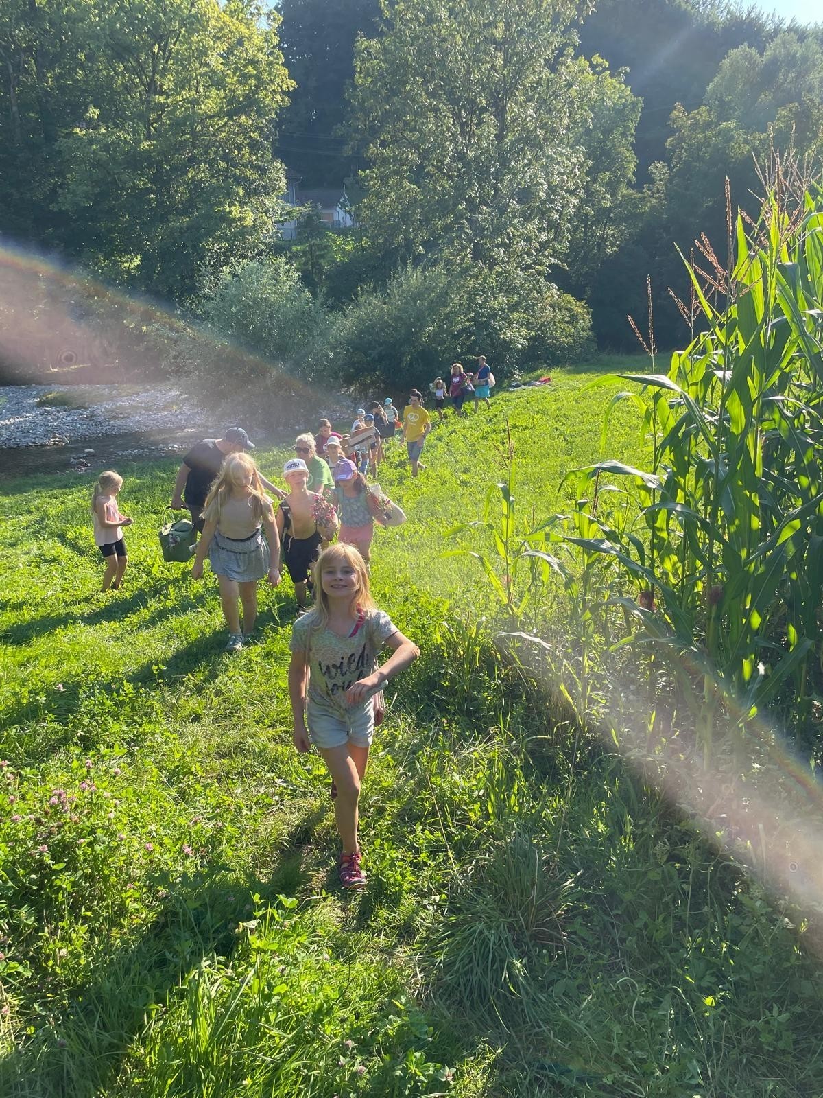 Bild5