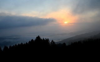 DSC_3523.JPG
