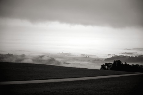 DSC_3503.JPG