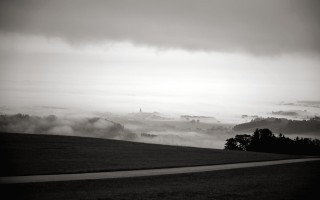 DSC_3503.JPG