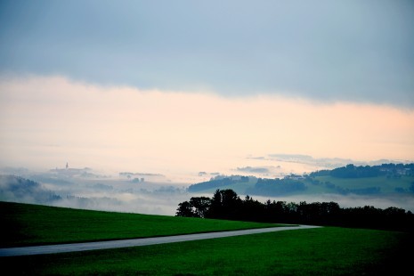 DSC_3520.JPG