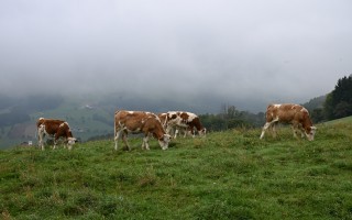 DSC_3844.JPG