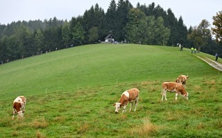 DSC_3903.JPG
