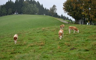 DSC_3905.JPG
