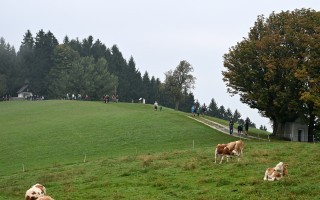 DSC_3910.JPG