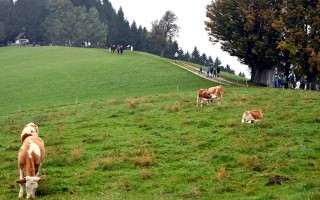 DSC_3912.JPG