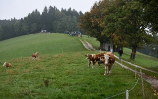 DSC_3934.JPG