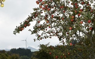 DSC_3972.JPG