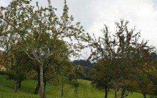 DSC_3970.JPG