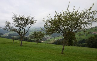 DSC_3979.JPG