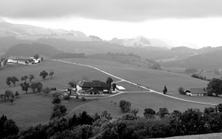 DSC_4017.JPG