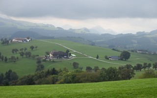 DSC_4018.JPG