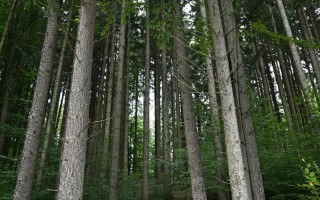 DSC_4104.JPG