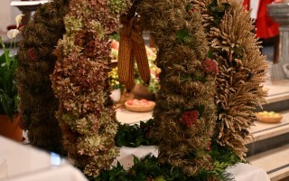 DSC_5011.JPG