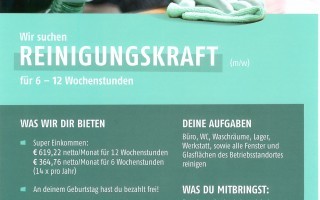 Reinigungskraft_Stressler.jpg