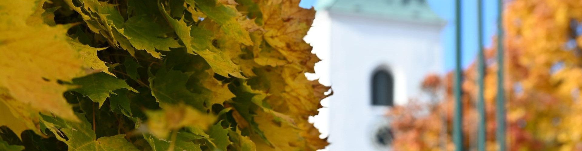 Behamberg_Herbst04Header.jpg