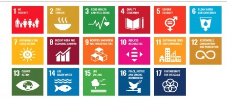 17 Global Goals.jpeg