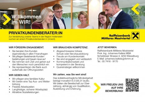 Stellenanzeige_PK-Berater_Hollenstein_A5quer.jpg